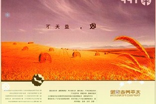 东明县菜园集镇庄寨村：文旅融合助力乡村振兴